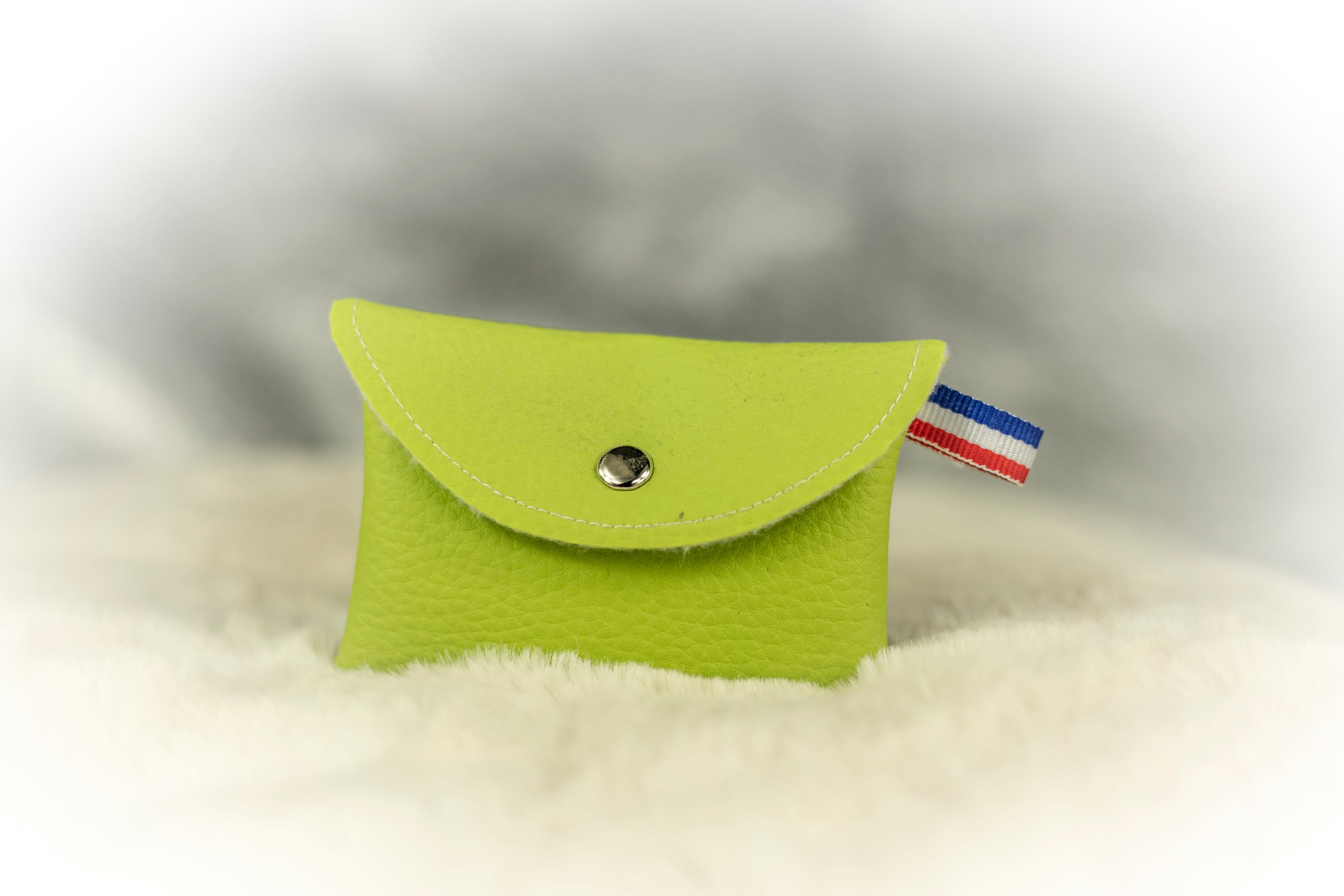 Porte- carte PCA10