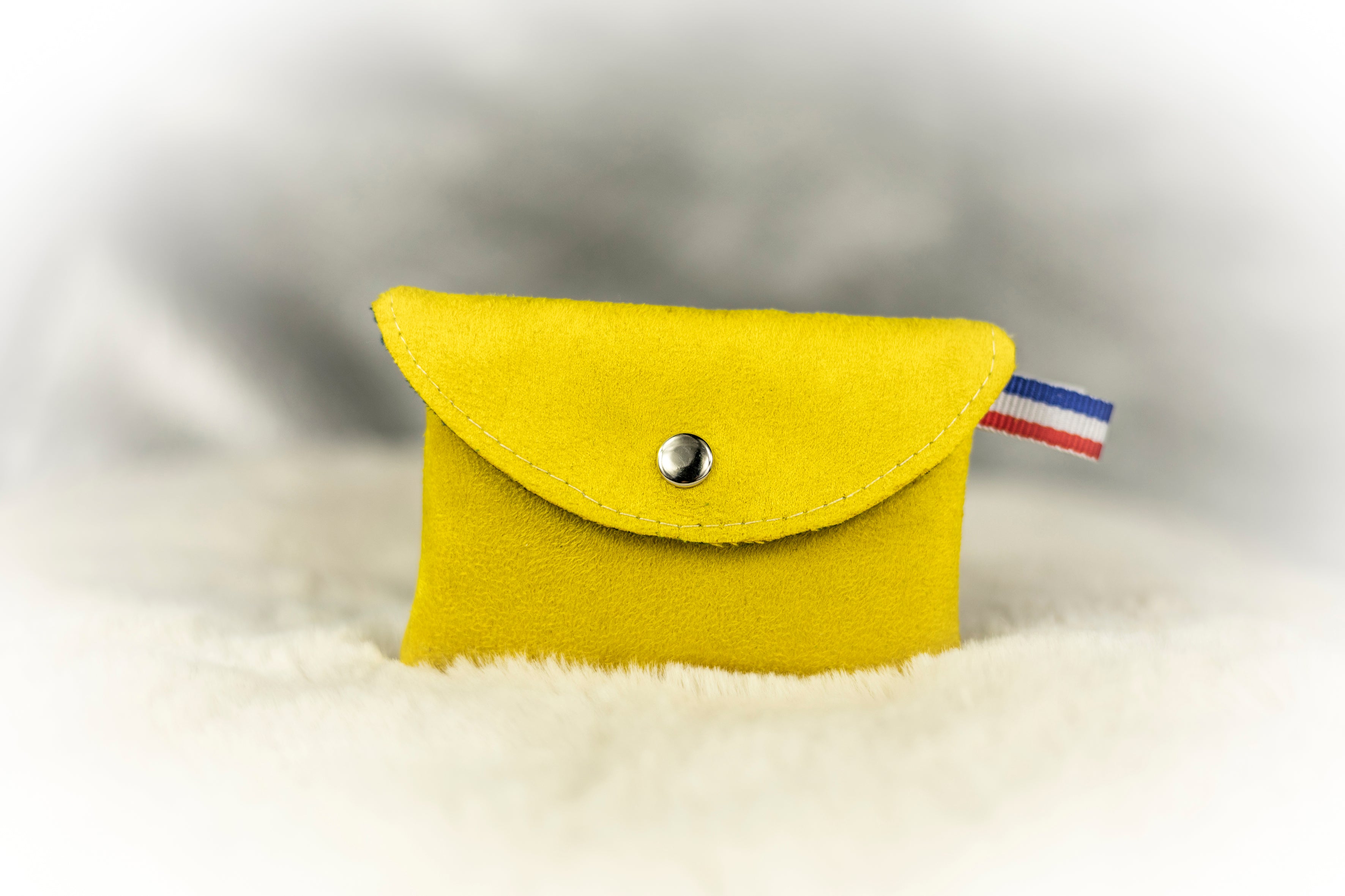Porte- carte PCA9