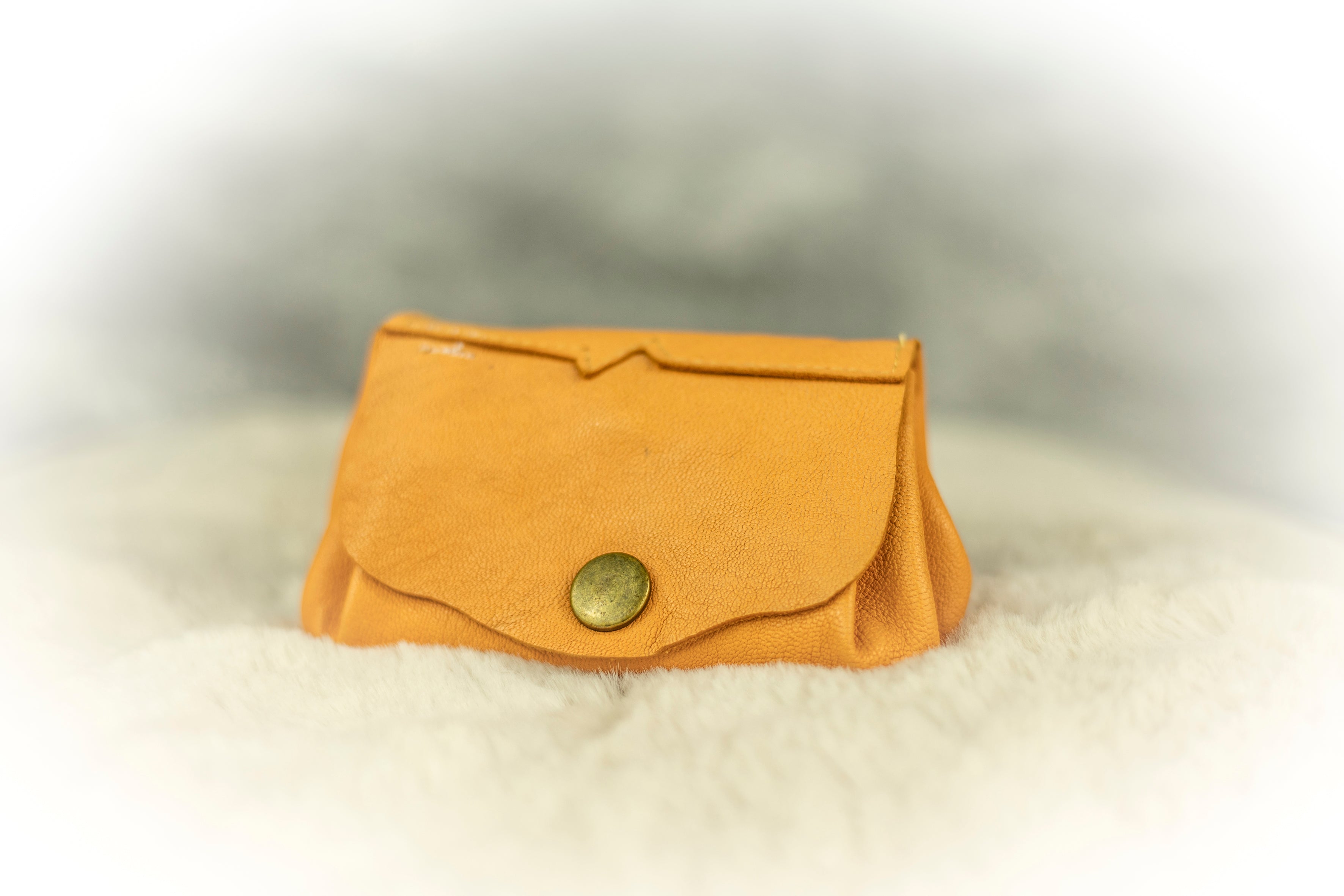 Porte-monnaie en cuir  PM2
